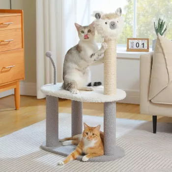 Best Small Cat Tree for Apartments: Sisal + Play Zone