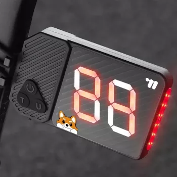 Do Bike Tail Lights Deter Theft? What Helps Most